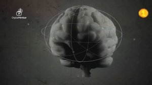 Зина - Прелюбодеяние его положение в Исламе