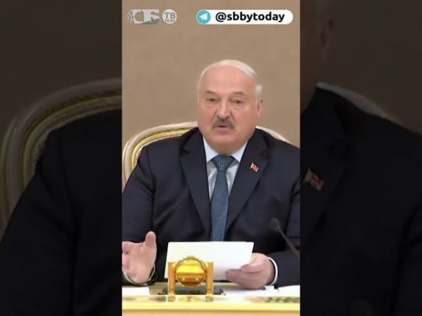 Спрос на рыбу и морепродукты. Лукашенко о перспективах сотрудничества Беларуси и Магаданской области