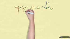 5 правил здорового образа жизни