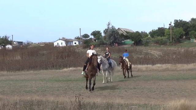 Конный клуб Кубанка. Местные детки на тренировке смотреть онлайн