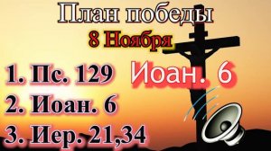 8 Ноября