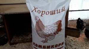 Первый месяц.Чем кормить бройлера Кобб 500.