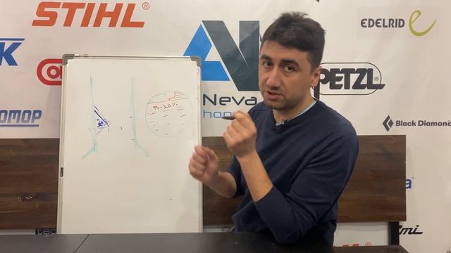 Запил при валке дерева. Как спилить дерево?