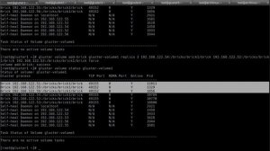 Распределенная файловая система GlusterFS. Часть 2