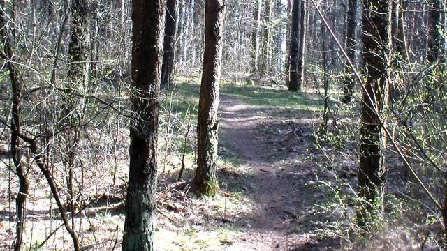 МТБ "Три версты" Гродно, ХСО Томина 7 апреля 2019, 1 круг и уже большие отрывы смотреть онлайн