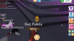 Making neon red panda in Adopt Me [ROBLOX]