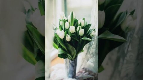 Цветы в интерьере.Цветы как элемент декора.