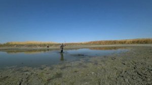 Рыбалка острогой. Руками. Сачком на заморном водоеме.