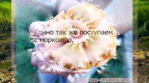 Как вкусно  сварить уху на костре