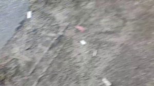 Opel Astra H. Плавают обороты. Мембрана клапанной крышки.