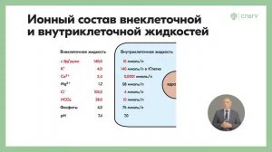 Асимметрия ионного состава внутриклеточной и внеклеточной жидкости