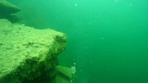 ПОДВОДНАЯ ЛОВЛЯ НЕОБЫЧНАЯ РЫБАЛКА