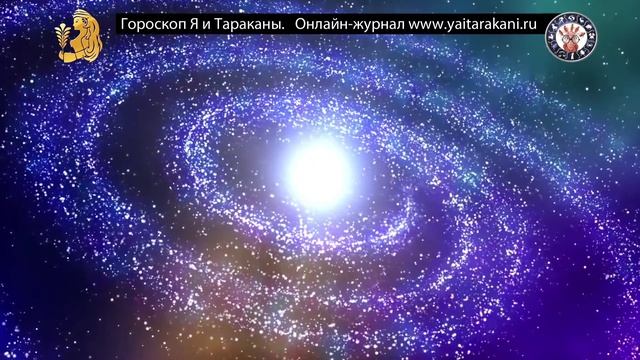 Дева.  Гороскоп.  Как мстят Девы.  Описание.