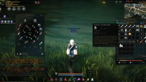 Black Desert Правильный старт залог успеха
