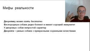 Дрессировка дворняжки . Особенности дворняжки в обучении. Как правильно дрессировать дворняжку