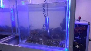 Автомат "Краболов"