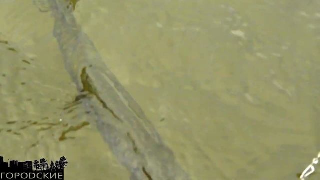 ?Летняя рыбалка на Каме. Камские Поляны. Рыба горячего копчения. Щука, окунь, язь.