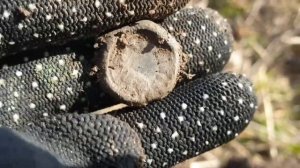 По "благородным" полям графа Стенбок-Фермора c Equnox 600!