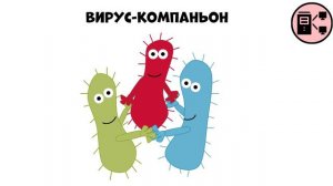 Что такое компьютерный вирус? Все типы компьютерных вирусов за 6 минут!