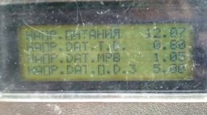 НИВА 2131. Ошибка 0123, высокий уровень сигнала ДПДЗ.