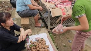 Harvesting Sapodilla Fruit goes to the Market sell - Gardening - Farming | Lý Thị Ly