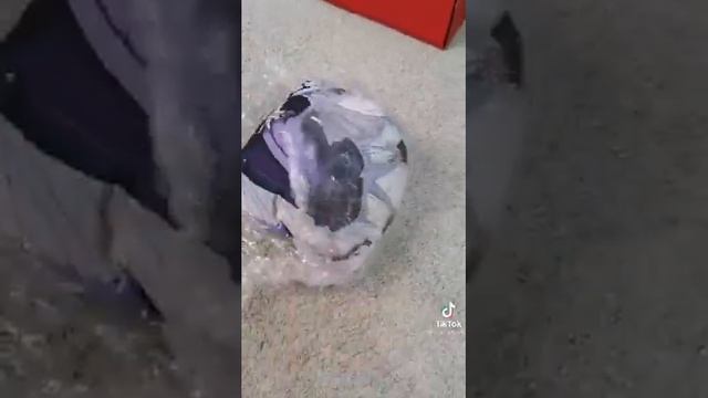 Бокс по аниме клинок расекаюший демонов смотреть онлайн