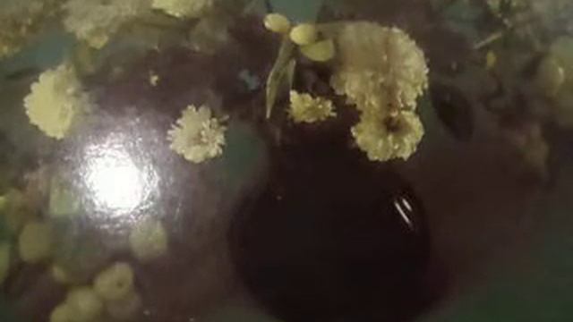 Love Story (Ветер на тысячах скрипок играл о прощании)наброски) смотреть онлайн