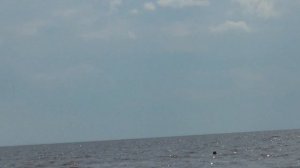 vatravel.ru Белое озеро в п.Липин Бор (Вологодская обл)