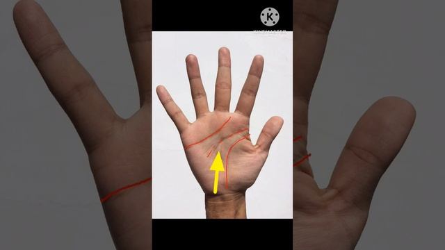 mind line palmistry in hindi #palmistry #shorts #mindlinepalmistry #shortsvideo #shortsfeed