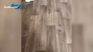 "6 класс! Ссыкухи! Я с тобой разговариваю?"