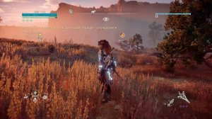 Приручил буревестника-Horizon Zero Dawn™_20191126180912