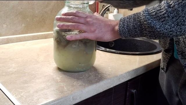 Супер подкормка для растений/Подкормка  для огурцов,томатов,кабачков,перца из черного хлеба и йода