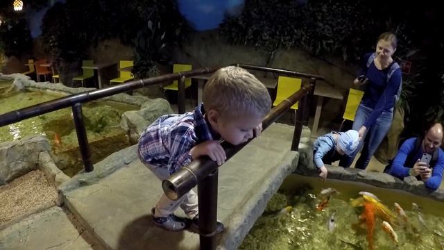 ОКЕАНАРИУМ Крокус Сити 13/10/2019 смотреть онлайн