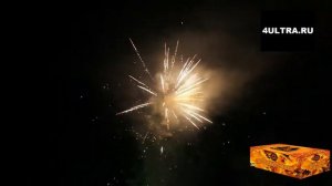 Салют "Огненный феникс"(200 залпов/0.8 дюйма)