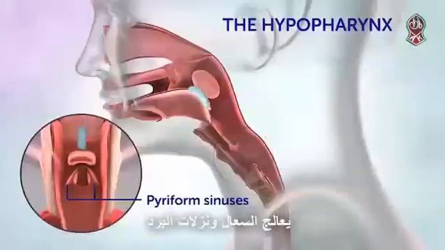 зеленая аптека смотреть онлайн