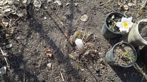 ВСЕ О ПРОСТРЕЛАХ!!