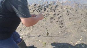 Рыбалка на озере Тузанкулмяк, Челябинская область. Дуплет