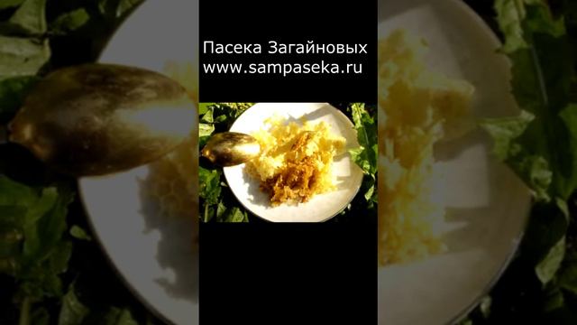 МОЖНО ЛИ ПРОГЛАТЫВАТЬ ЗАБРУС? смотреть онлайн