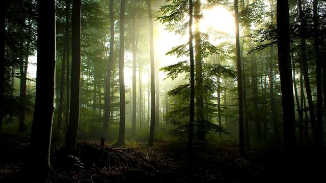 Немного Нервно - Медленный сон смотреть онлайн