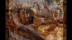 Очень красивые поделки из корней деревьев и коряг своими руками
