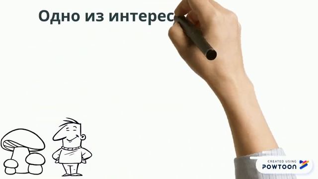 Интересные факты про грибы смотреть онлайн