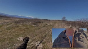 Первы два этапа при натаска легавая собака !