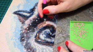 Алмазная мозаика НЕ ШУМИ от Белоснежки / Сборка, обзор и отзыв