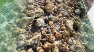 Будущий зимний сад в частном доме.