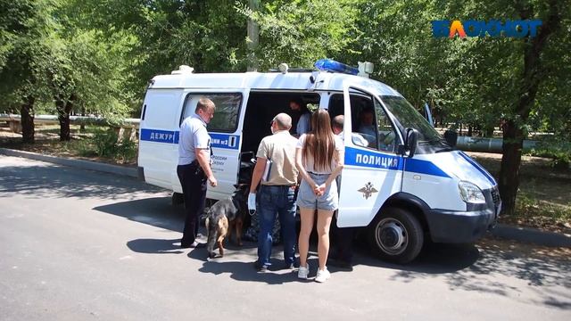 Расследование в Волжском