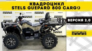 Квадроцикл Stels ATV 800 Guepard FF Trophy EPS CARGO 2.0