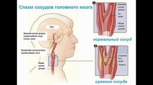 Как надо дышать? А как вы дышите ?