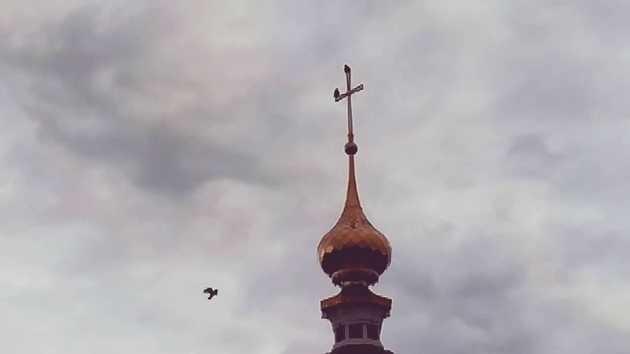 Суздаль, церковь, вороны. смотреть онлайн