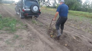 Сказ про то,как белорусы картошку копают!И как мы управляем мечтой!