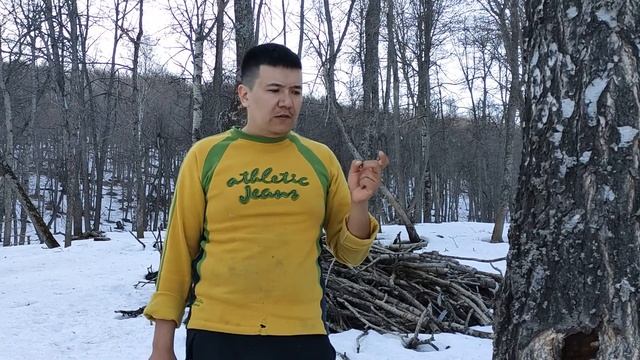 Приключения в деревне. Деревенская жизнь / БЕРЕЗОВЫЙ СОК. Как добыть.сохранить до лета. смотреть онлайн